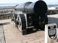 Edinburgh castle (61)